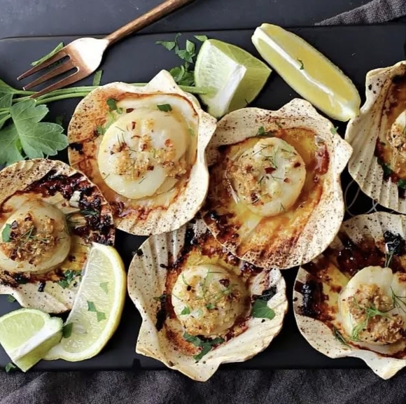 LOT Japanese Scallop Shells for Cooking - Picture 4 of 8